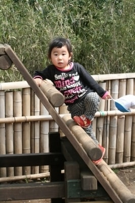 クライミングキャビン